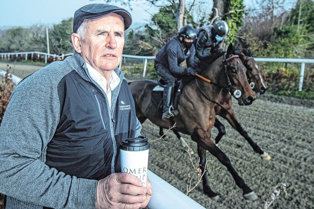 Horseracing regulator to pursue Luke Comer over alleged €1m in unpaid fines in doping case