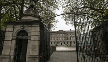 Minister alleged to have made slur against hunger striking abuse survivors, Dáil is told by TD