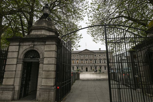 Minister alleged to have made slur against hunger striking abuse survivors, Dáil is told by TD