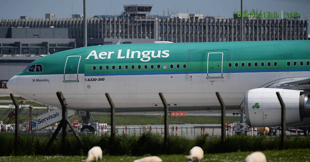 Aer Lingus' parent company posts record profits
