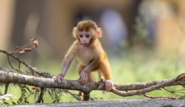 Yahoo lifestyle home