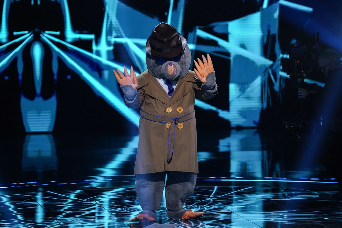 The Masked Singer's Mole Dommett                     