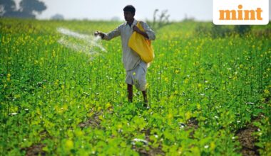 How depleted soils are emptying the nutrients in our food