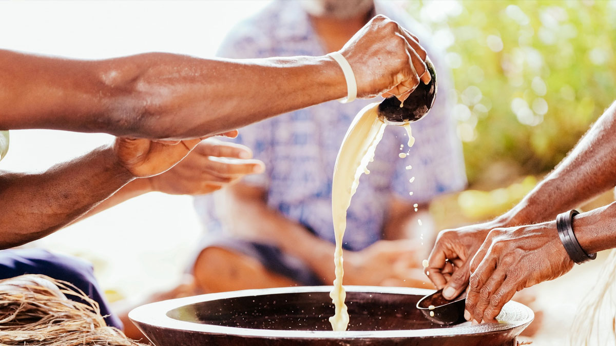 Men lead kava drinking while women top sugary snack consumption during kava sessions