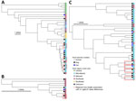 Phylogenetic core-genome multilocus sequence typing trees of Escherichia coli sequence type (ST) 617, Klebsiella pneumoniae ST307, and Enterobacter cloacae ST171 One Health clusters in study of genetically similar high-risk strains of carbapenemase-producing Enterobacterales in humans and companion animals, United States. The tree nodes are colored by host species, and the bands on the right are colored by the region of patient residence. cgMLST, core-genome multilocus sequence typing.