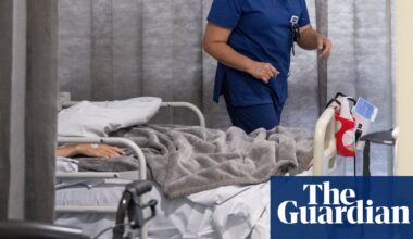 ‘The system is broken’: tragedies involving escaped patients expose NSW’s mental health crisis, hospital workers say | New South Wales