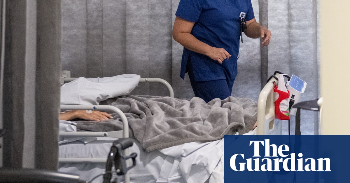 ‘The system is broken’: tragedies involving escaped patients expose NSW’s mental health crisis, hospital workers say | New South Wales
