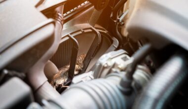 Wet weather sees surge of rats taking shelter inside cars