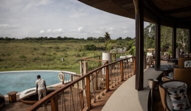 The hotel costs thousands a night. Is wildlife paying the real price?