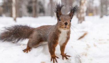 A hardy creature in Ukraine — and other news in pictures