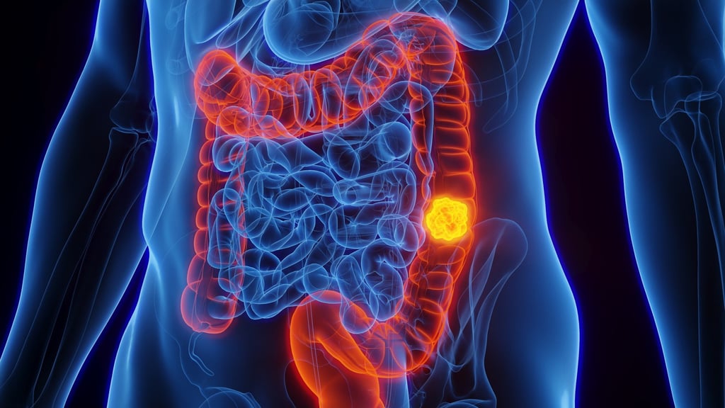 The colon is a question-mark-shaped organ that starts on one side of the abdomen and swoops to the other before ending with the rectum. Photo: Shutterstock