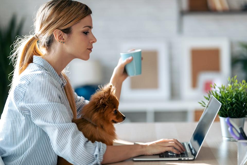 A person and a dog looking at a computer.