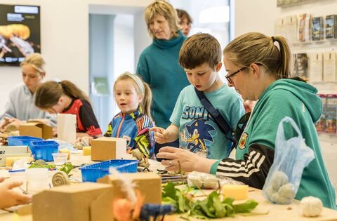 Spring at the National Museum of Ireland in Turlough Park - What's on