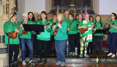 Concert in St Mary's strikes chord for Carlow NS - Community