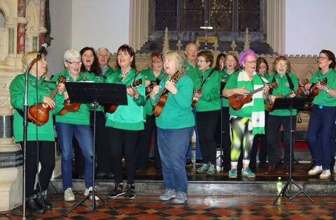 Concert in St Mary's strikes chord for Carlow NS - Community