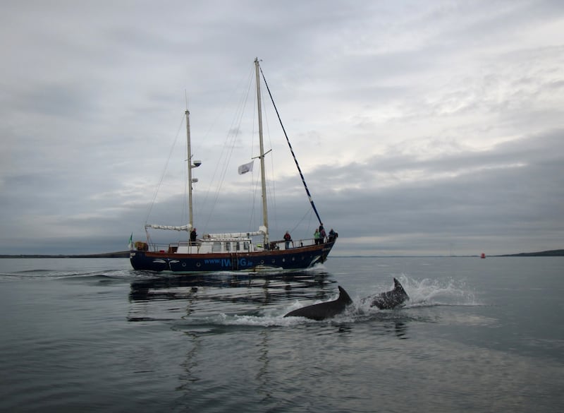 The Irish Whale and Dolphin Group has said 2026 will be the final season for its dedicated research sailing vessel, Celtic Mist, formerly owned by Charles Haughey. Photograph: IWDG