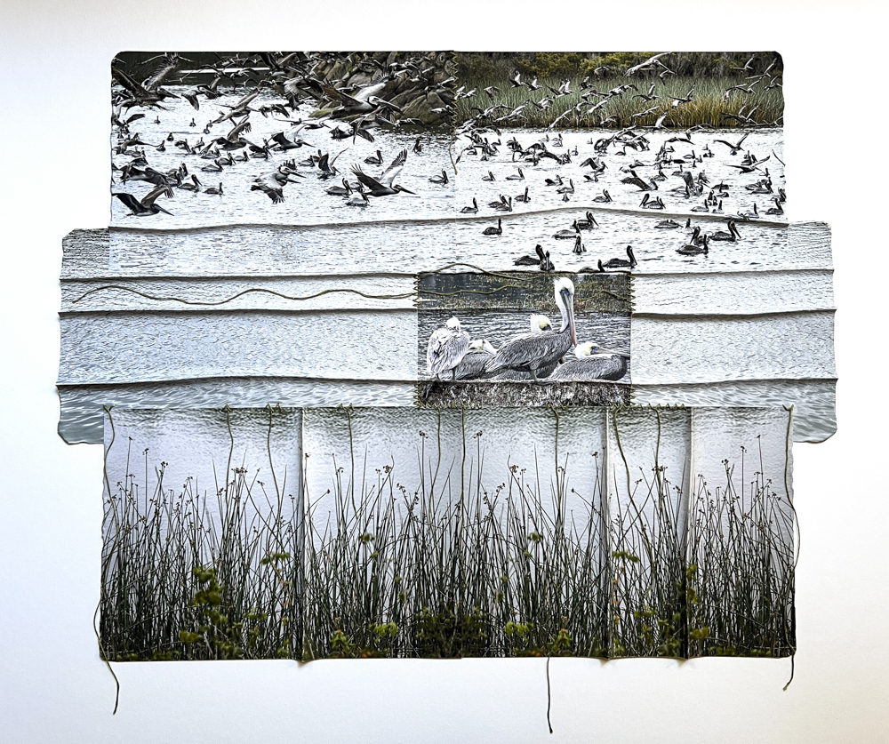 3_Wings of Resilience