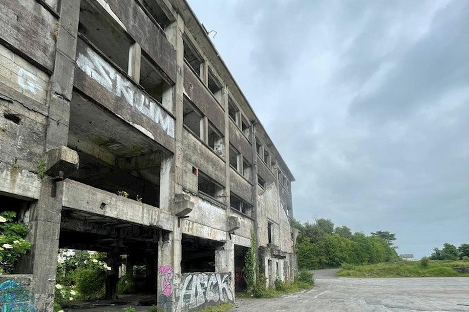 Mayfield House and Tannery, Portlaw, County Waterford. 