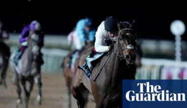 Constitution Hill out of Champion Hurdle and ready for next chapter on the Flat | Constitution Hill