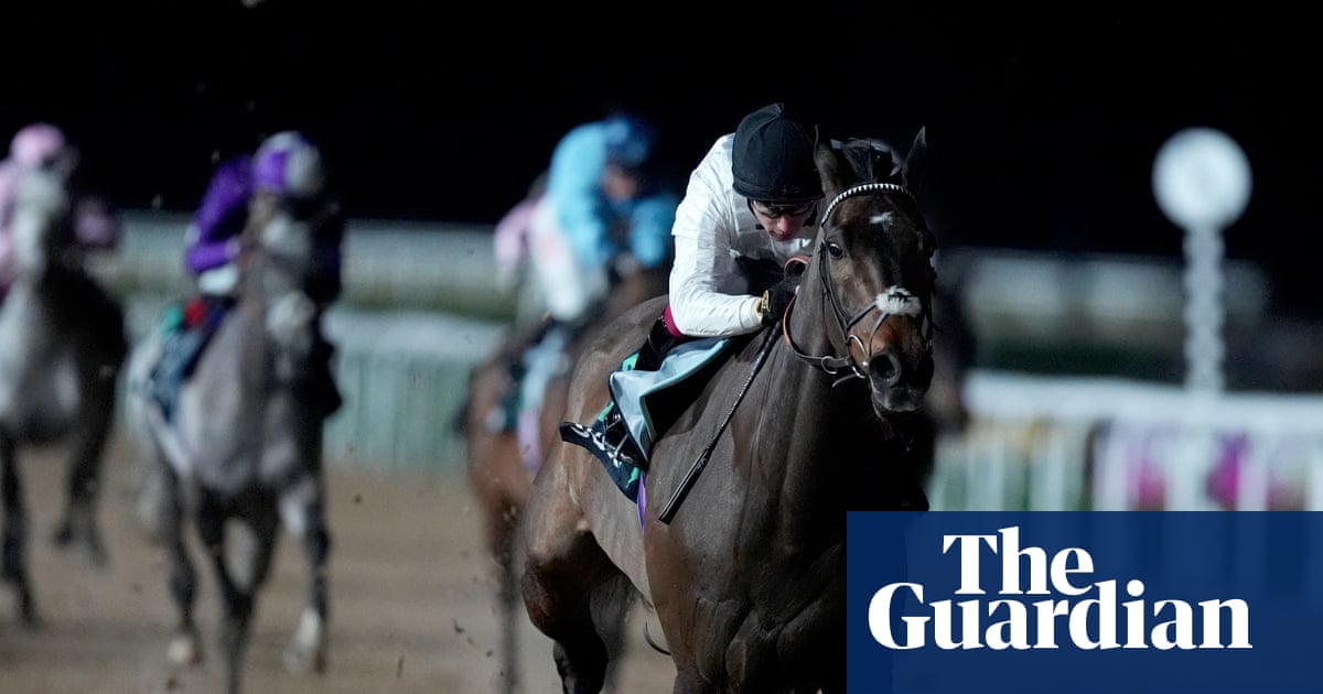 Constitution Hill out of Champion Hurdle and ready for next chapter on the Flat | Constitution Hill