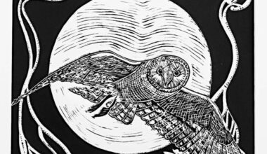 Tashi Draper&rsquo;s Barn Owl Under a Full Moon. (Submitted/Pearl Ellis Gallery)