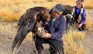 Margie Jamieson will present photos and stories from her adventure in Mongolia at Have Camera, Will Travel at Centre 64 on Feb. 19. (Margie Jamieson/Submitted).
