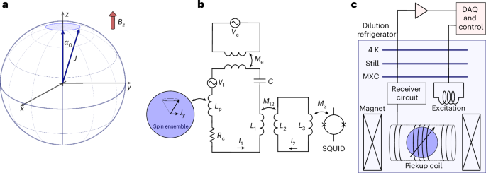 Quantum-limited metrology of macroscopic spin ensembles