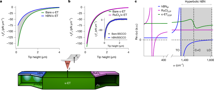 Cavity-altered superconductivity | Nature