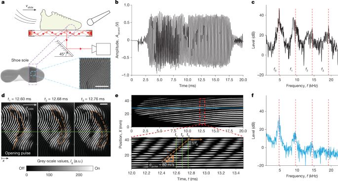 Squeaking at soft–rigid frictional interfaces