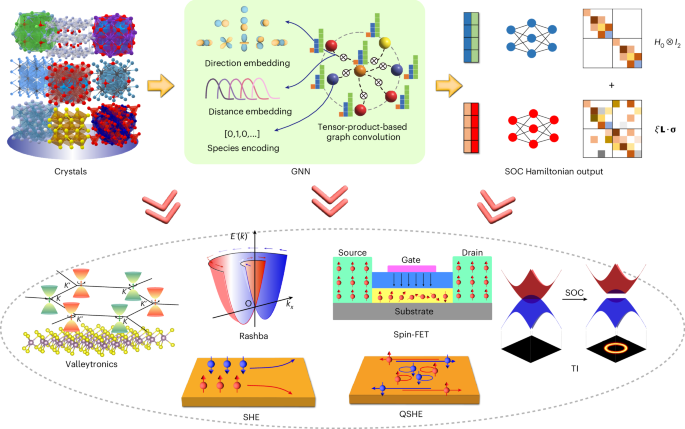 A universal spin–orbit-coupled Hamiltonian model for accelerated quantum material discovery