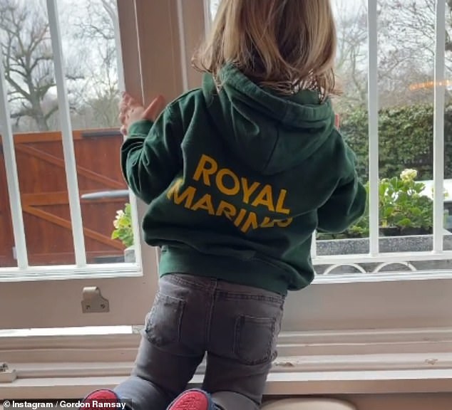 Other details include a glass balcony from the kitchen that overlooks and goes out onto the sprawling garden, which has an immaculate lawn (Oscar pictured in February)