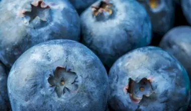 Surpassing Blueberries... 11 Foods Rich in Antioxidants
