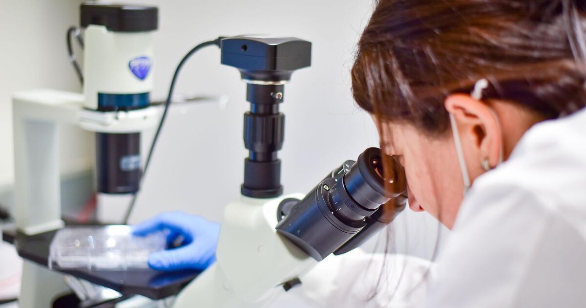 Many girls in Ireland still miss out on STEM careers due to legacy issues