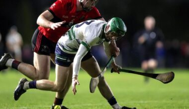 Adam Screeney stars as UL edge UG to set up all-Limerick Fitzgibbon Cup final - Irish Examiner