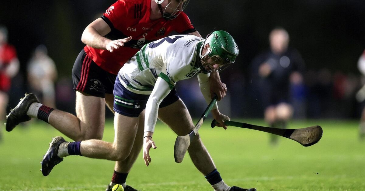 Adam Screeney stars as UL edge UG to set up all-Limerick Fitzgibbon Cup final - Irish Examiner