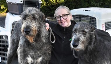 The realities of animal travel explained by an expert