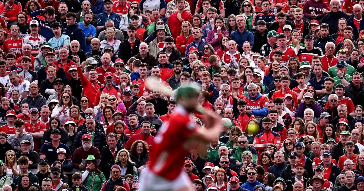 Páirc or Limerick if Cork reach Munster hurling final