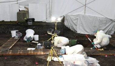 22 further sets of human remains uncovered during Tuam mother and baby home excavation