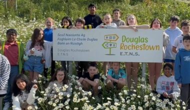 Four Cork primary schools shortlisted for annual FÍS Film Awards