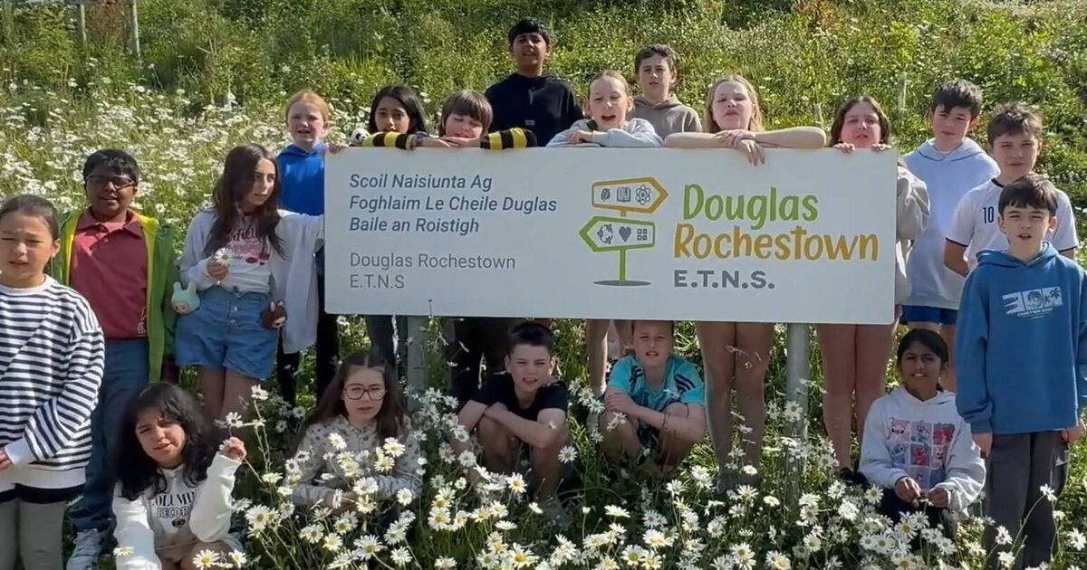 Four Cork primary schools shortlisted for annual FÍS Film Awards