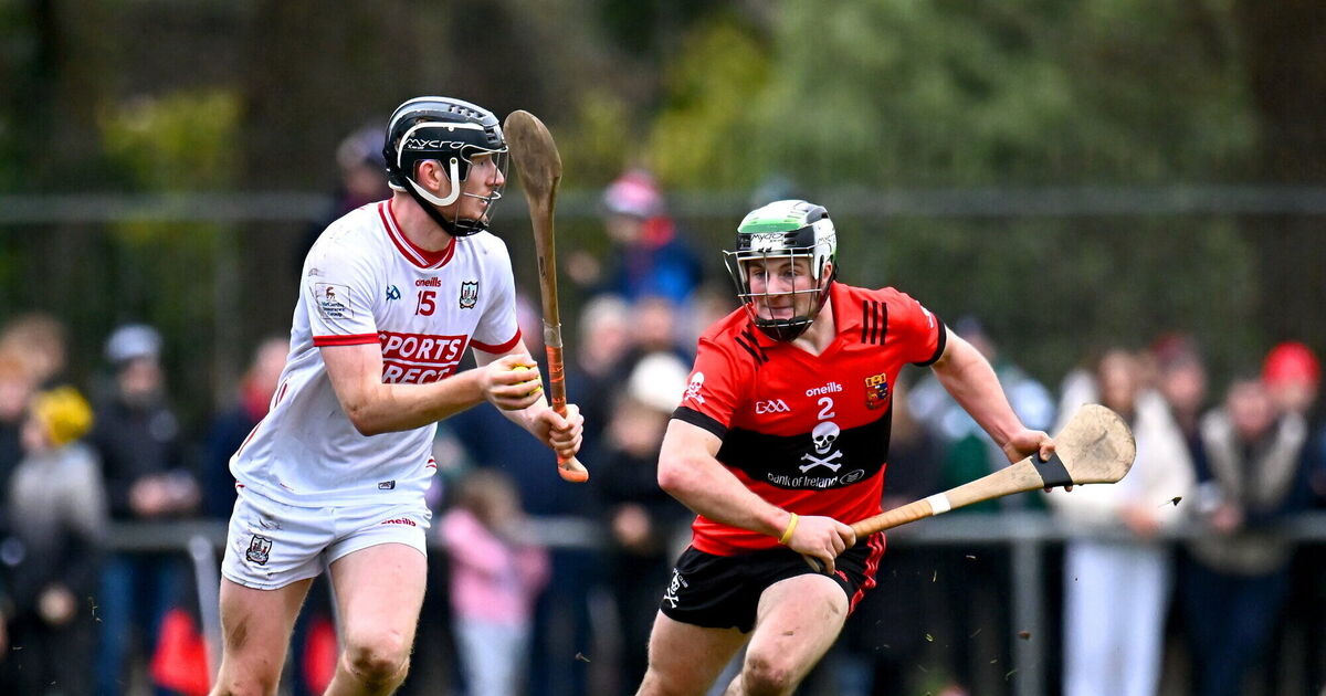 West Cork native set to join Barrs in hurling