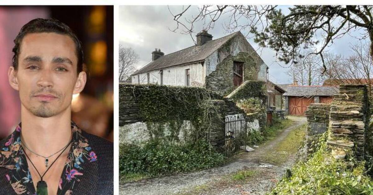 Robert Sheehan joins Mescal and Ronan in West Cork 'Craic Pack' as he seeks planning for farmhouse extension