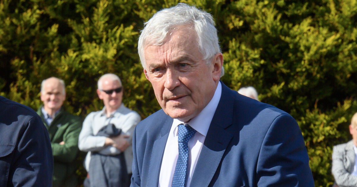 Cork property developer Michael O’Flynn returns to High Court over neighbour's PIA