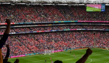 Supporters engaging in behaviour that goes against spirit of what GAA is about 