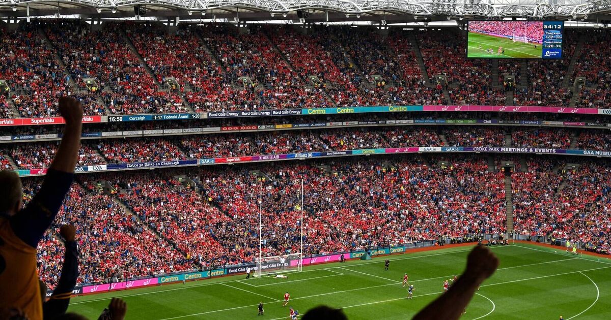Supporters engaging in behaviour that goes against spirit of what GAA is about 