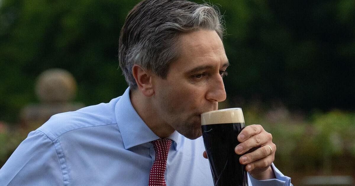 TDs and senators sink Guinness pints as part of €60k Leinster House tab
