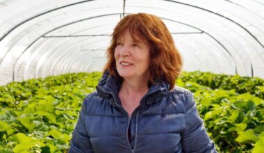 Fruitful time for Cork jam business founded by two women in the 1980s