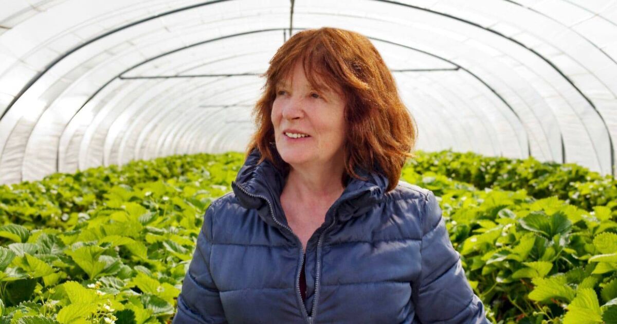 Fruitful time for Cork jam business founded by two women in the 1980s