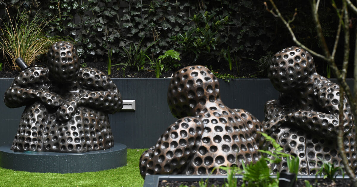 Bronze covid memorial offers solace to Mater Hospital patients and staff 