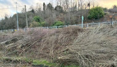 Blackpool residents fear of flood risk after culled trees left along riverbank